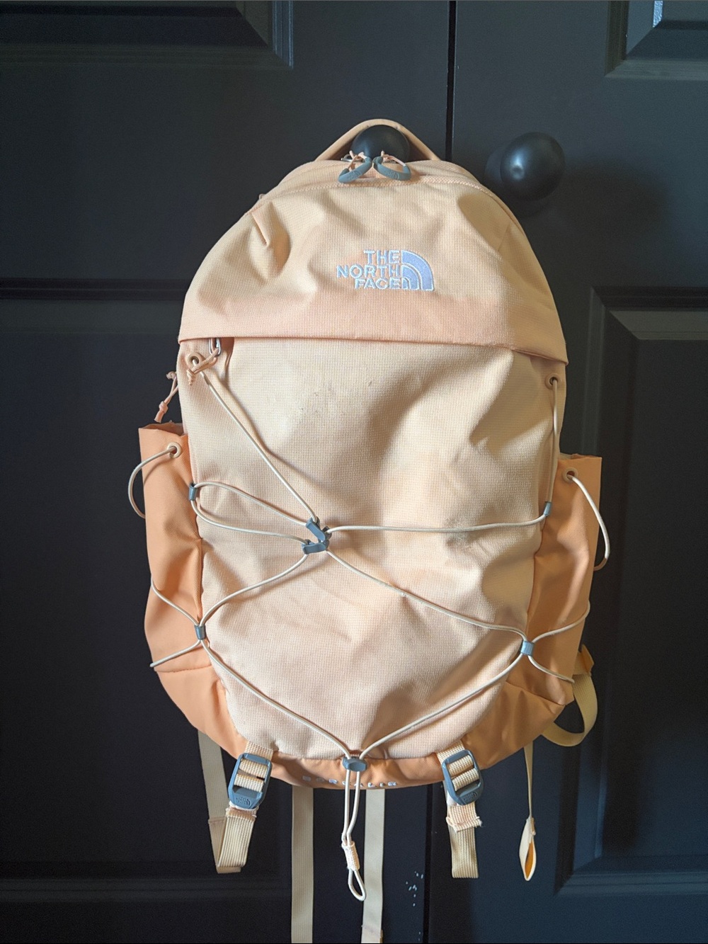 The North Face Peach Backpack - Everyday Pack